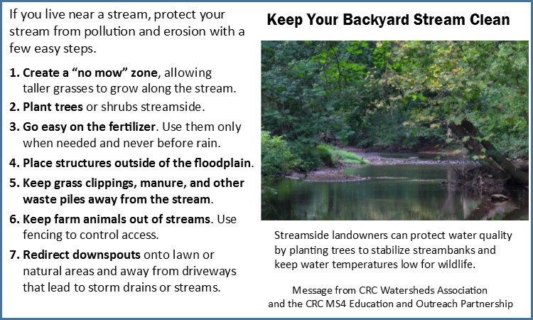 Keep Your Backyard Stream Clean